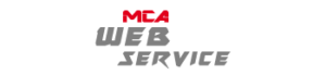 Logo of the Web Service module of MCA Kale software