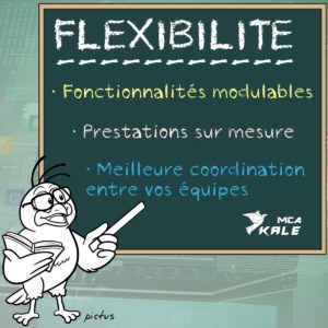 Illustration de la page sur la flexibilité des logiciels de gestion